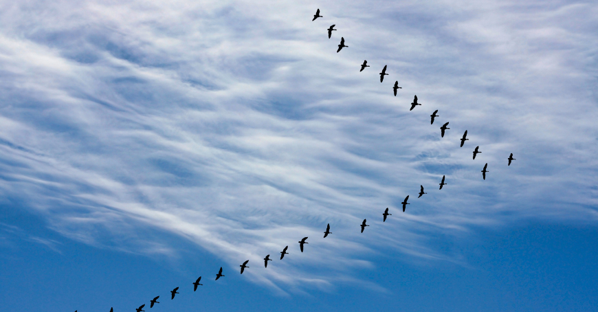 Thumbnail blogpost Introducing the MIGRATION QA Standard in APEX Project Eye (APE) 25.1